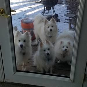 Meet your Posher, Misfit deborah